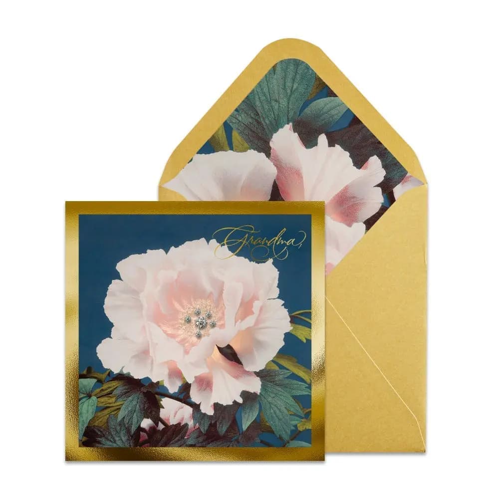 Large Pink Rose on Blue Mother's Day